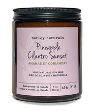 Charger l'image dans la galerie, Ananas et coriandre | 45 heures