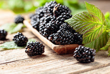 Load image into Gallery viewer, Blackberry Hill | 45 hours
