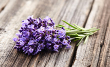 Load image into Gallery viewer, Lavender Fields Hand Soap | 500ml
