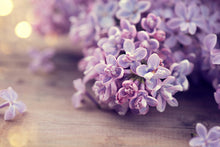 Load image into Gallery viewer, P.S Thinking of You - Lilac Bloom
